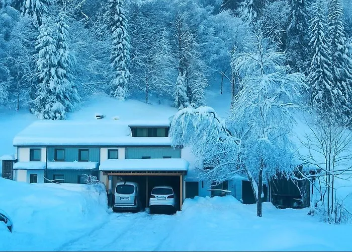 Vakantiehuis Haus Erlenau Dalaas